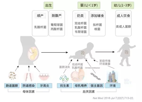 明升mansion88(中国游)手机版app下载